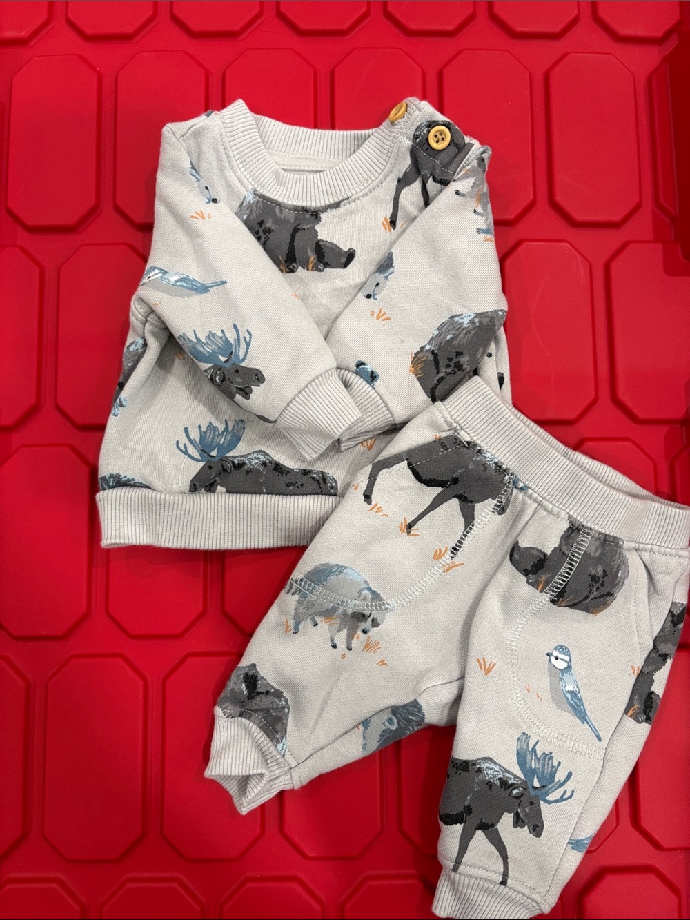 Little Planet by Carters NB Moose & Critter Sweat Set